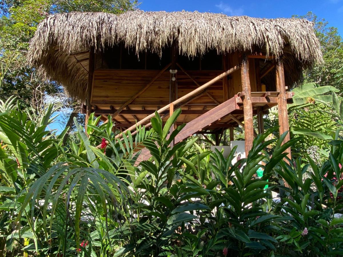 Hotel Salvia Madre Guachaca Exterior foto