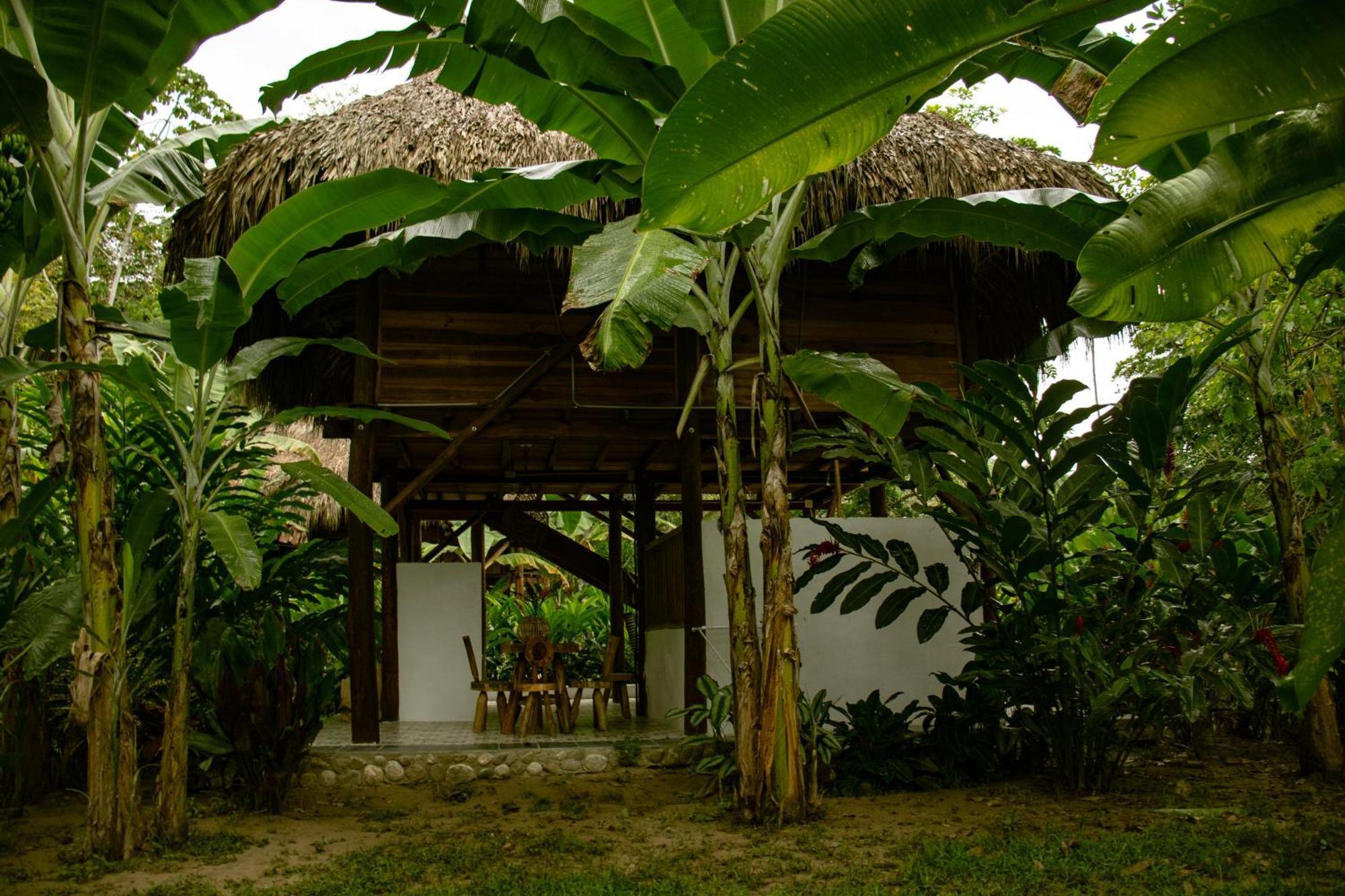 Hotel Salvia Madre Guachaca Exterior foto