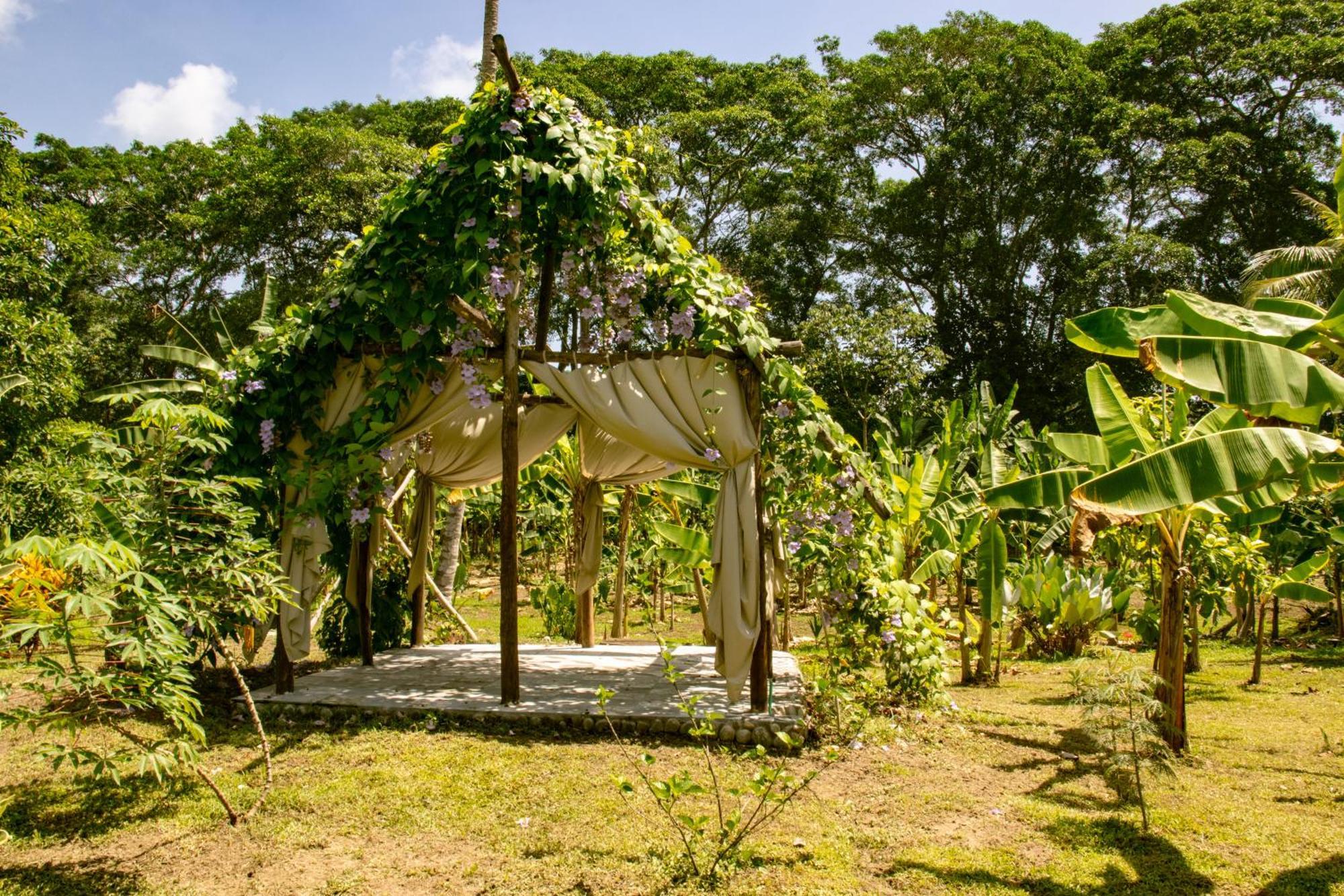 Hotel Salvia Madre Guachaca Exterior foto