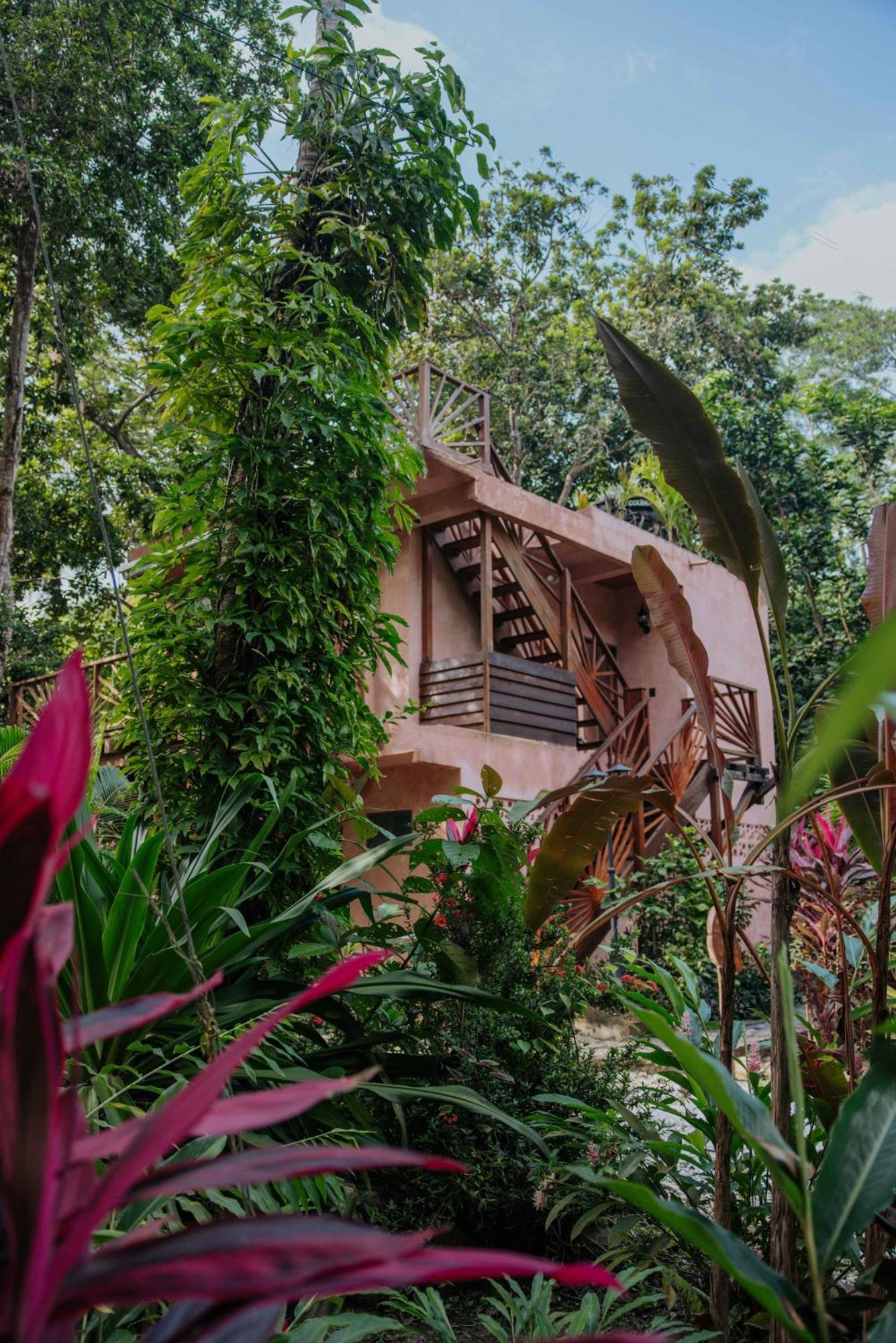 Hotel Salvia Madre Guachaca Exterior foto
